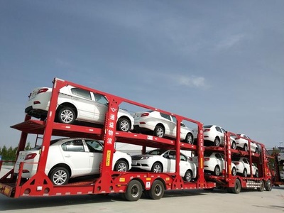 欧洲你好,中国新能源汽车来了